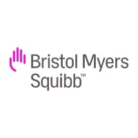 Information Security Lead Data Analyst Vice President