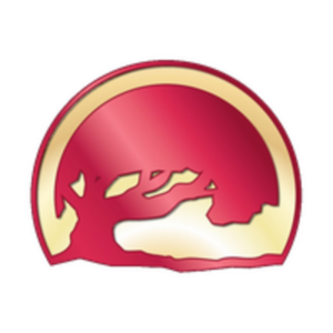 Solar Customer Service Technician